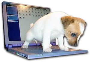 laptoppeedog