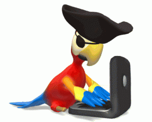 pirate_parrot_on_computer_hg_wht
