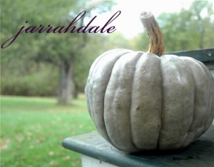 jarrahdale-squash-lg jarrahdale-squash-lg