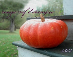 rouge-squash-lg rouge-squash-lg