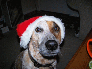 XMAS_2006_04_wb