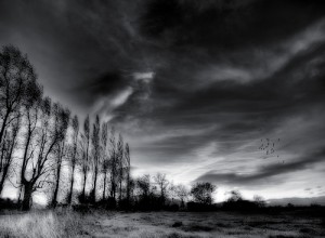bleak