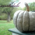 Fancy Punkins’