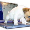 A Laptop will NEVER be as good as a desktop