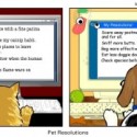 Dog -vs- Cat